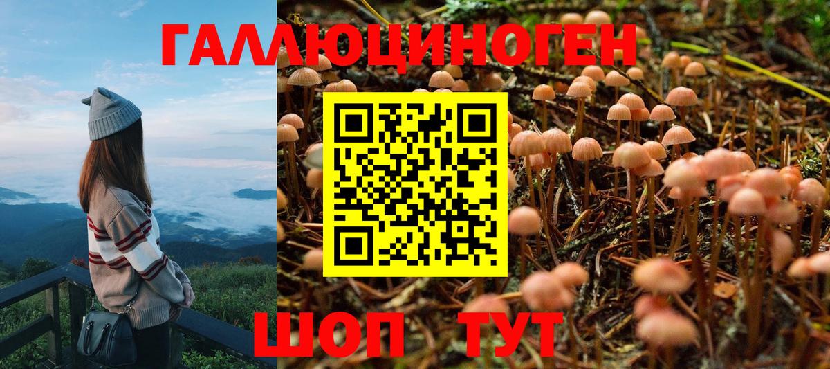 Галлюциногенные грибы ЛСД  Вход с VPN  Галлюциногенные грибы Magic Shrooms  Химки 